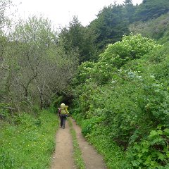 GirlsWildCat 008 : GirlsWildCat